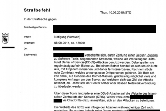 Strafbefehl gegen Cyberkriminellen nach Angriff auf IZRS-Webseite