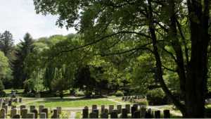 Der Weg zum ersten muslimischen Friedhof im Kanton Aargau ist frei